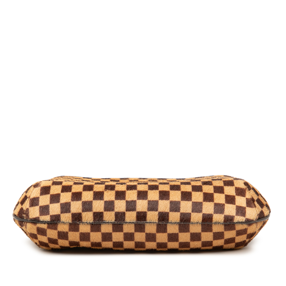 Pre-Loved Louis Vuitton Damier Sauvage Tigre - Picture 3 of 8